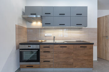 Pronájem bytu 2+kk v osobním vlastnictví 59 m², Litvínov