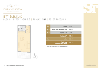 Prodej bytu 1+kk v osobním vlastnictví 50 m², České Budějovice