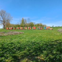 Prodej pozemku 534 m², Beřovice