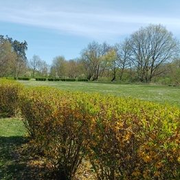 Prodej pozemku 534 m², Beřovice