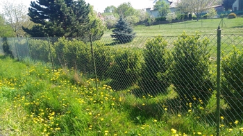 Prodej pozemku 1350 m², Mikulovice