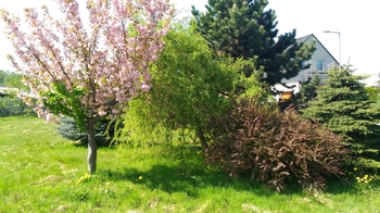 Prodej pozemku 1350 m², Mikulovice