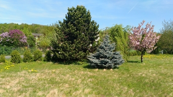 Prodej pozemku 1350 m², Mikulovice