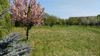 Prodej pozemku 1350 m², Mikulovice