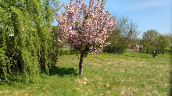 Prodej pozemku 1350 m², Mikulovice