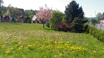 Prodej pozemku 1350 m², Mikulovice