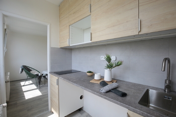 Pronájem bytu 1+kk v osobním vlastnictví 27 m², Litvínov