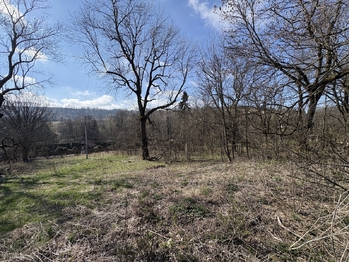 Prodej pozemku 5191 m², Budišov nad Budišovkou