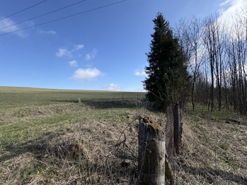 Prodej pozemku 5191 m², Budišov nad Budišovkou
