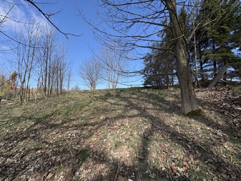 Prodej pozemku 5191 m², Budišov nad Budišovkou