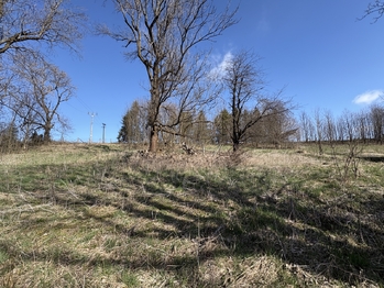Prodej pozemku 5191 m², Budišov nad Budišovkou