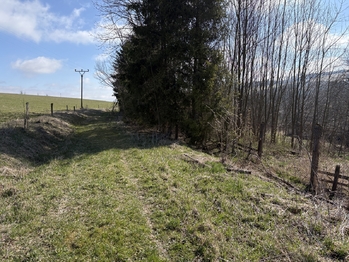 Prodej pozemku 5191 m², Budišov nad Budišovkou