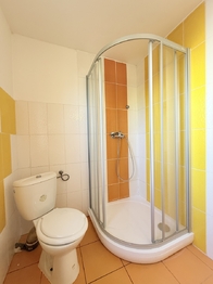 Pronájem bytu 1+1 v osobním vlastnictví 51 m², Pohořelice