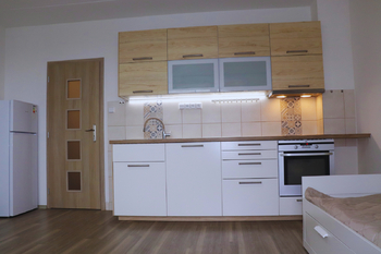 Pronájem bytu 1+kk v osobním vlastnictví 27 m², Plzeň