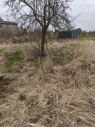 Prodej pozemku 405 m², Lodhéřov