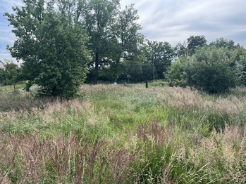 Prodej pozemku 445 m², Lodhéřov