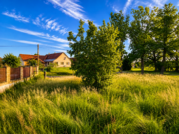 Prodej pozemku 445 m², Lodhéřov