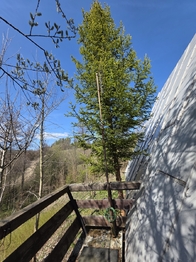 Pronájem chaty / chalupy 50 m², Václavov u Bruntálu