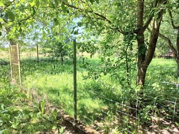 Zahrada za domem. - Prodej zemědělského objektu 455 m², Zálší