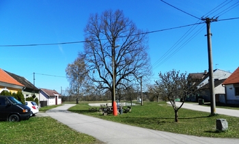 Prodej zemědělského objektu 455 m², Zálší