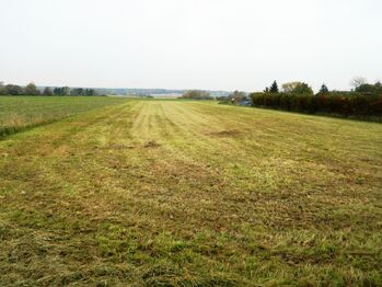 Výhled ze zadní zahrady. - Prodej domu 455 m², Zálší