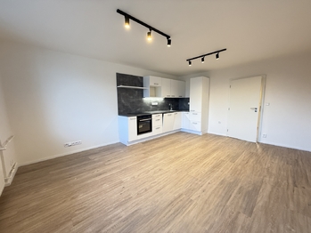 Pronájem bytu 3+kk v osobním vlastnictví 59 m², Praha 6 - Břevnov