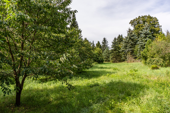 Prodej pozemku 2699 m², Kamenice