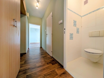 hala ... - Pronájem bytu 2+kk v družstevním vlastnictví 54 m², Havlíčkův Brod