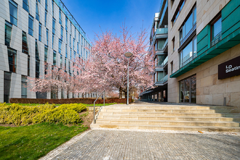 Pronájem bytu 2+kk v osobním vlastnictví 73 m², Praha 8 - Karlín