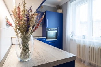 Pronájem bytu 2+1 v osobním vlastnictví 53 m², Praha 3 - Žižkov