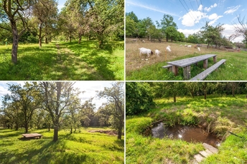 Přírodní park Aloisov a Klíčovské sady - Pronájem bytu 2+1 v osobním vlastnictví 53 m², Praha 9 - Hloubětín