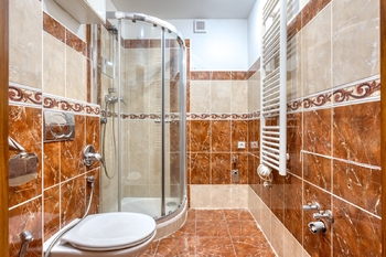 Koupelna + WC - Prodej bytu 2+kk v osobním vlastnictví 44 m², Praha 3 - Žižkov