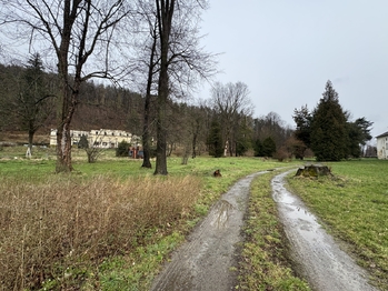 Prodej bytu 4+1 v osobním vlastnictví 124 m², Město Albrechtice