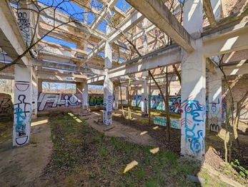 Prodej pozemku 42524 m², Všestudy