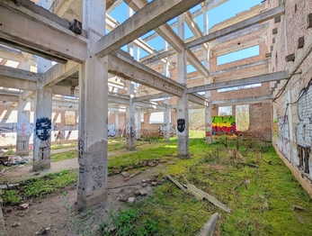 Prodej pozemku 42524 m², Všestudy