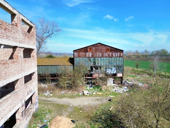 Prodej pozemku 42524 m², Všestudy