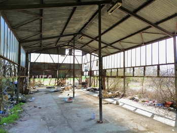 Prodej pozemku 42524 m², Všestudy