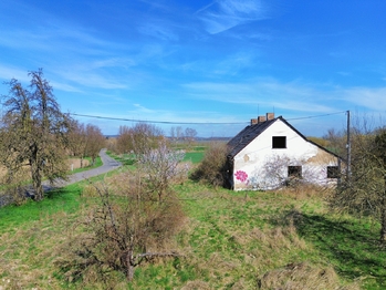 Prodej pozemku 42524 m², Všestudy