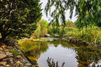 Prodej domu 500 m², Úhonice