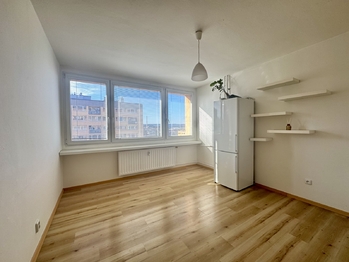 Pronájem bytu 1+1 v osobním vlastnictví 47 m², Příbram