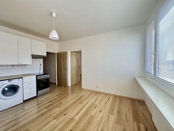 Pronájem bytu 1+1 v osobním vlastnictví 47 m², Příbram