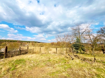 Zahrada plná ovocných stromů vytváří příjemné zákoutí s výhledem do okolních lesů  - Prodej domu 245 m², Čistá