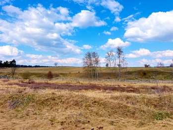 Okolí vybízí k dlouhým  procházkám  - Prodej domu 245 m², Čistá