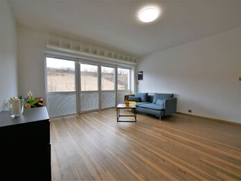 Pronájem bytu 2+1 v osobním vlastnictví 96 m², Praha 6 - Přední Kopanina