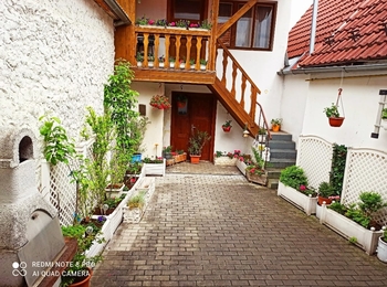 Dvorek - Pronájem bytu 3+kk v osobním vlastnictví 70 m², Husinec