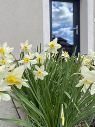 Prodej domu 100 m², Spáňov