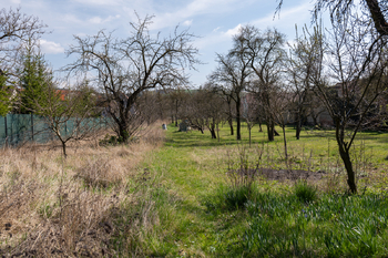 Prodej pozemku 2167 m², Rousínov