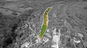Prodej pozemku 8856 m², Košíky
