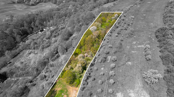 Prodej pozemku 8856 m², Košíky