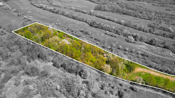 Prodej pozemku 8856 m², Košíky